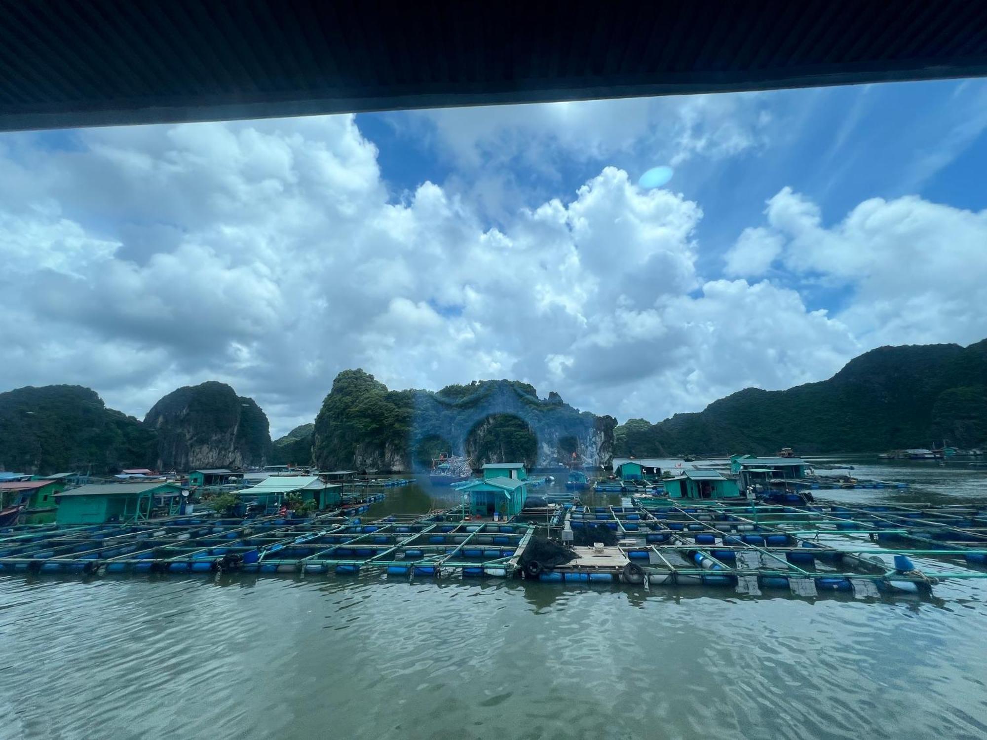 Mb Central Hotel Cat Ba Island ภายนอก รูปภาพ