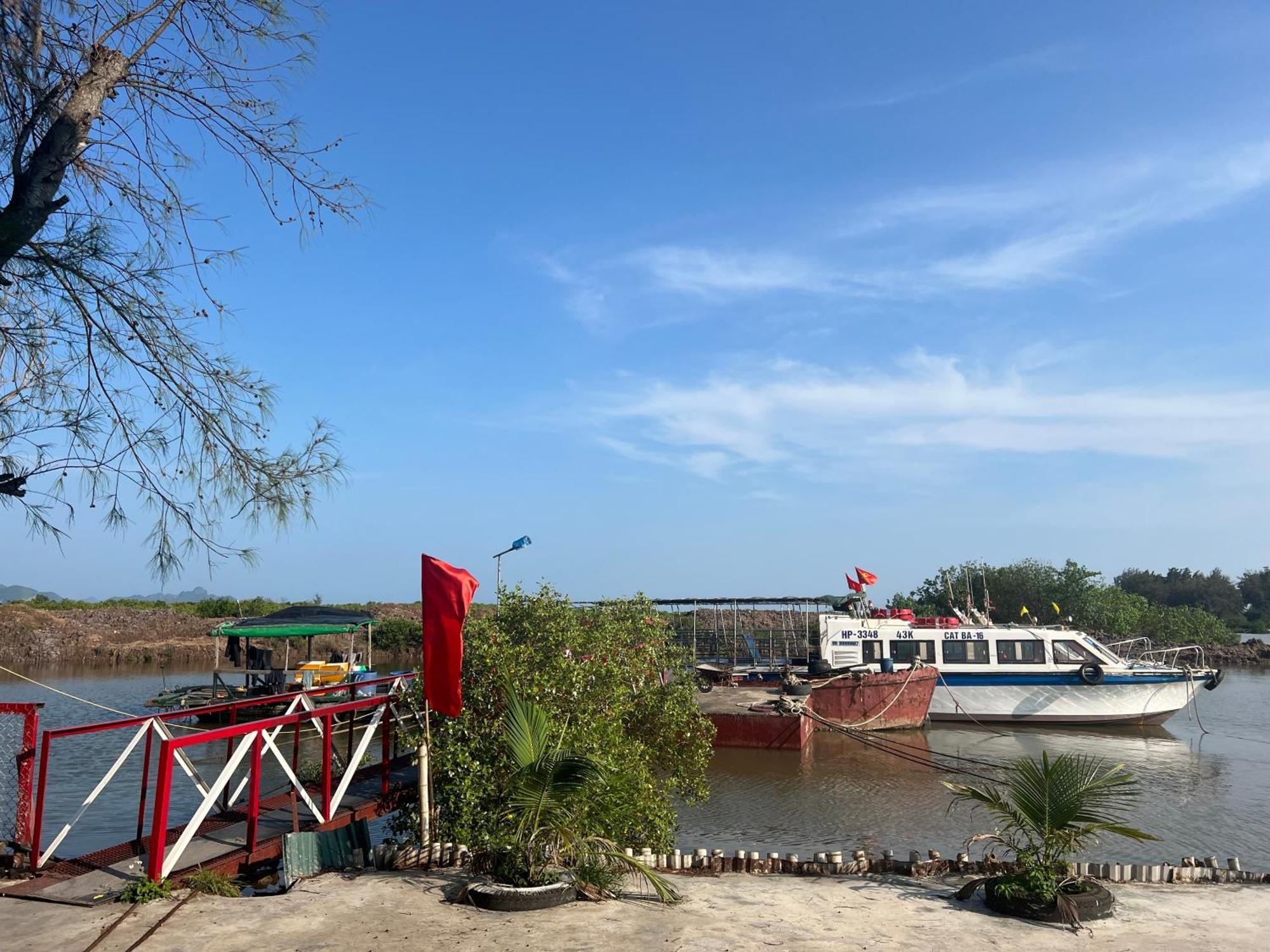 Mb Central Hotel Cat Ba Island ภายนอก รูปภาพ